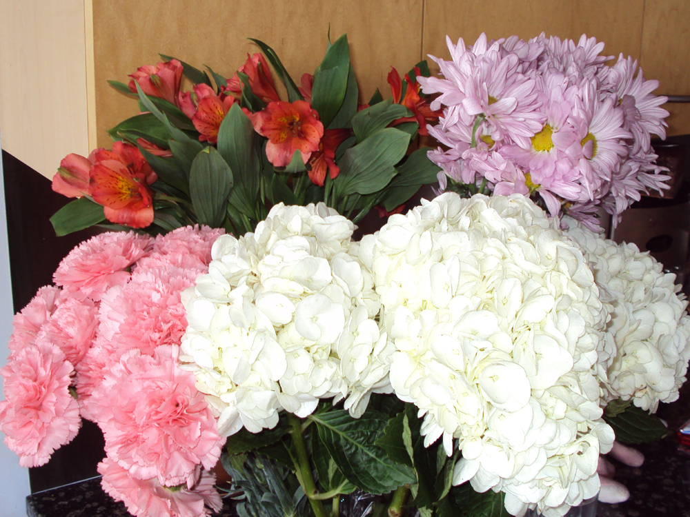 colorful flowers